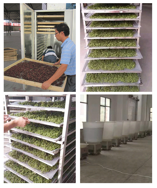 花椒烘干機,一體式空氣能花椒烘干機,一體式小型家用烘干機